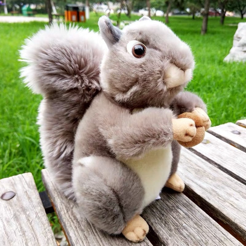 Squirrel Plush Toys 20cm