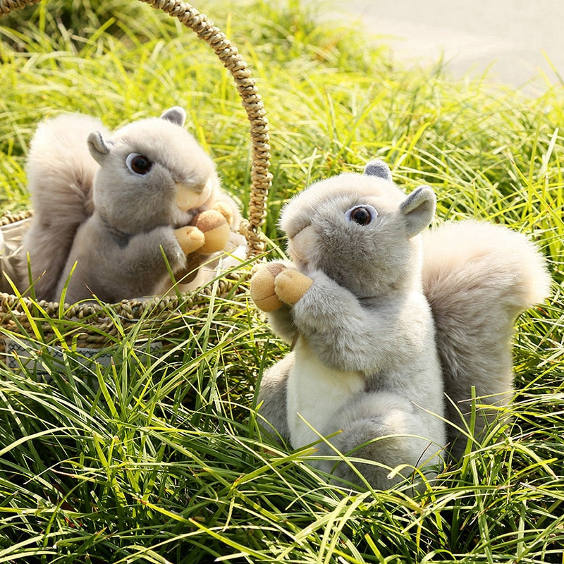 Squirrel Plush Toys 20cm