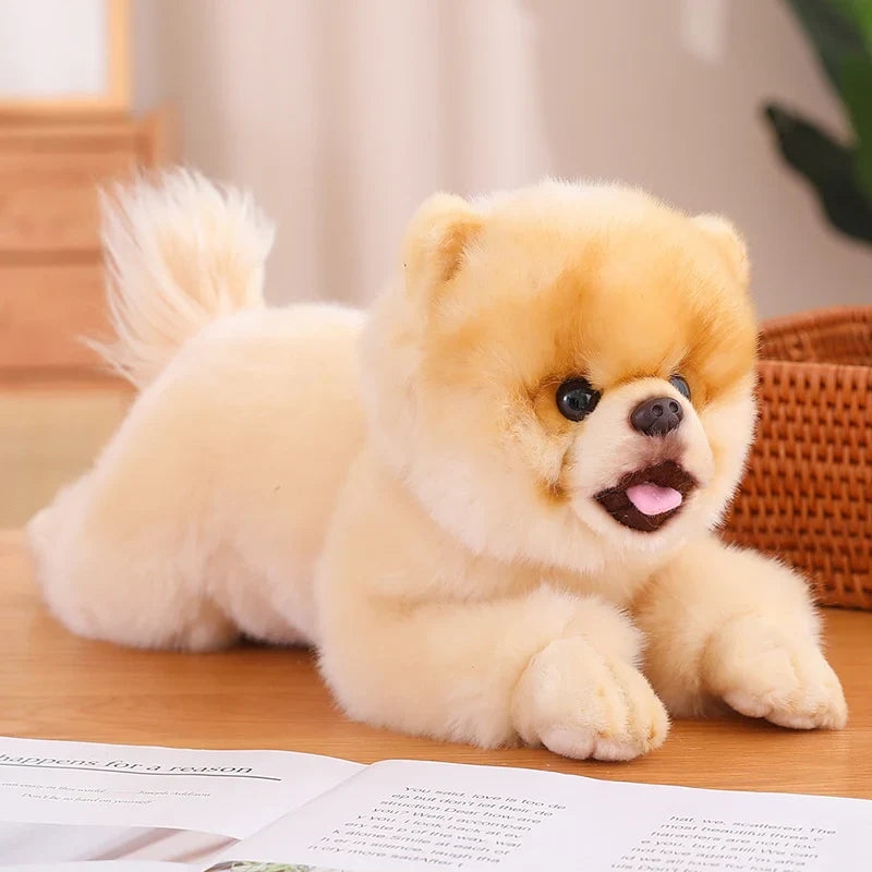 Lying Cats/Dog (Pomeranian) Lifelike Plush Toy- 5 Styles